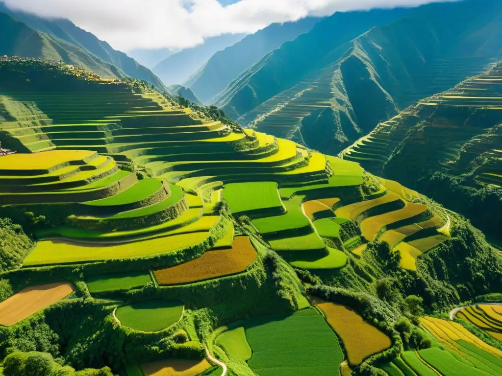 Antiguas terrazas agrícolas en los Andes, muestra la agricultura avanzada de civilizaciones antiguas