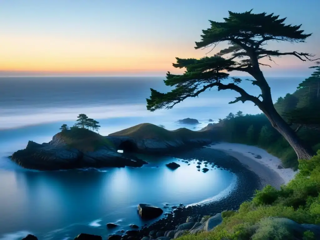 Misterios de Oak Island: Atardecer en la Costa Rugosa Un misterioso atardecer en Oak Island, con niebla y un sol moribundo
